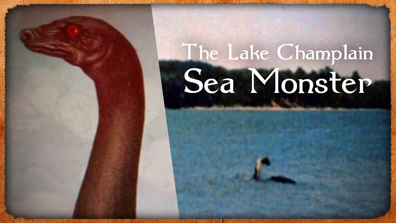 Lake Champlain Monster, Champ | Tales of Earth