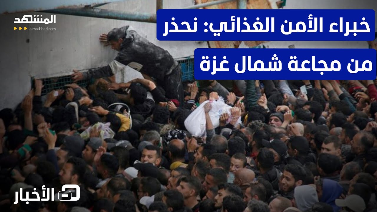 غيبريسوس: تحذير خبراء الأمن الغذائي من مجاعة شمال غزة مقلق - نشرة اليوم
