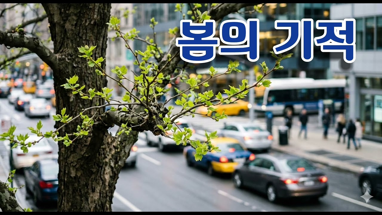 ♤록 발라드♤ 어쿠스틱♤ 봄의 기적 | #발라드 #창작곡 #오리지널곡 #음악 #노래 #ai 창작 