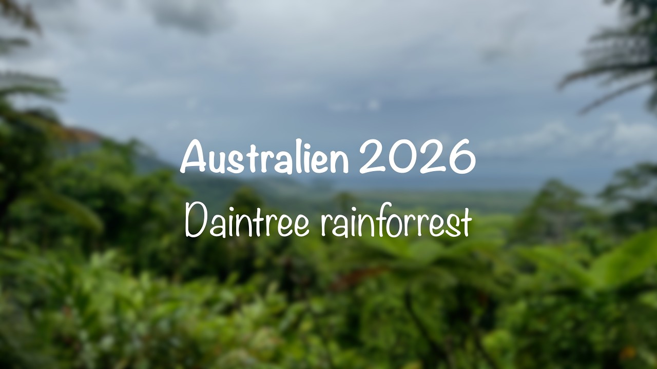 Australien 2026   Regnskogen   HD 1080p