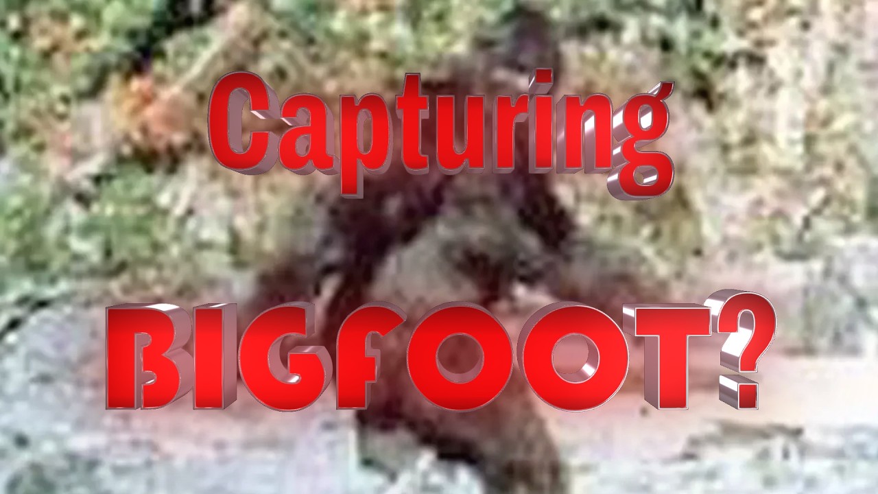 Capturing Bigfoot?