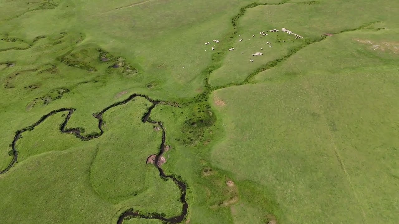 ORDU PERŞEMBE YAYLASI - DRONE ÇEKİMİ - 4K60FPS - DJI MINI 4 PRO