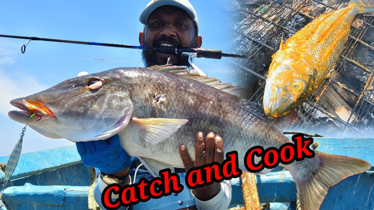 Vertical Slow pitch Jigging with Major Craft Jigpara Slow 100gm Butterfly Jig in EID  Picnic Trip