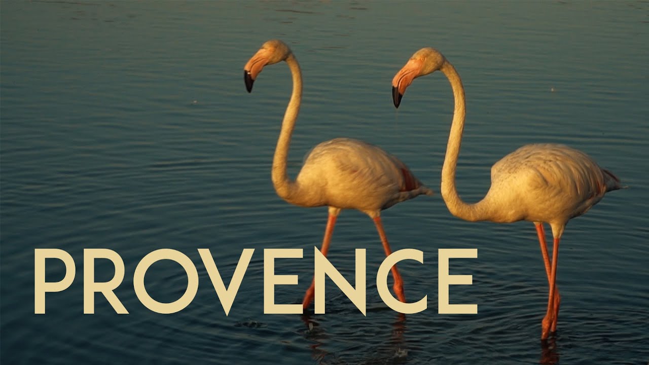 Provence, France #cinematicvideo