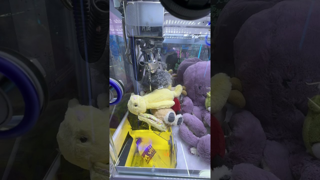 Jellycat實爪台の用爪插花🌹