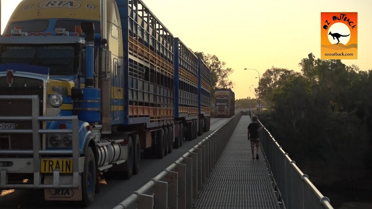 Extreme Trucks #17 - Cattle Road trains of Australia livestock - Caminhão de gado na Austrália