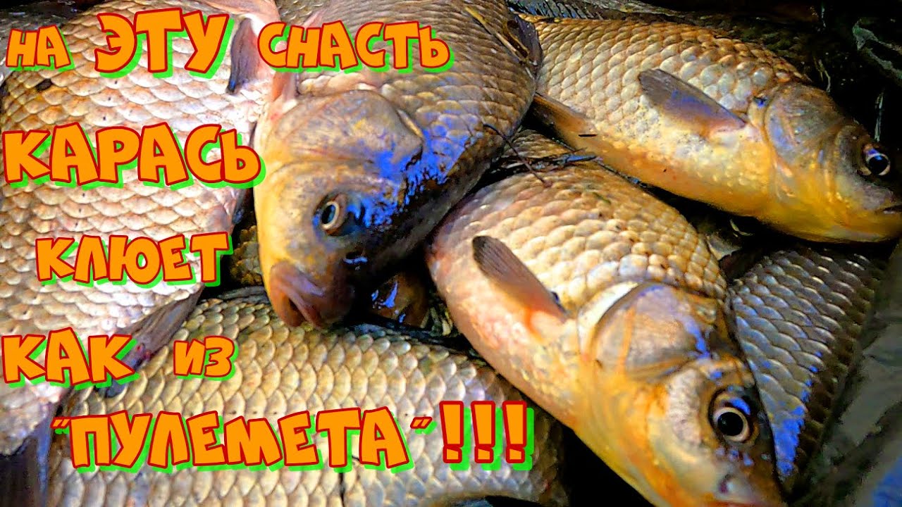 НЕОБЫЧНЫЙ метод ЛОВЛИ КАРАСЯ на БОКОВОЙ КИВОК ! Весенняя Рыбалка на ПОПЛАВОК и БОКОВОЙ КИВОК .