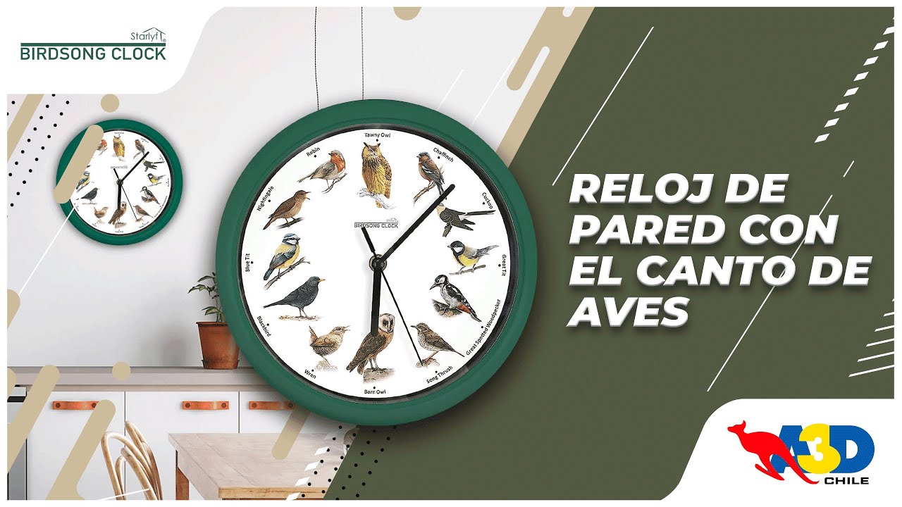 Reloj de pared canto de pájaros Starlyf Birdsong Clock 🐦🦉 | A3D