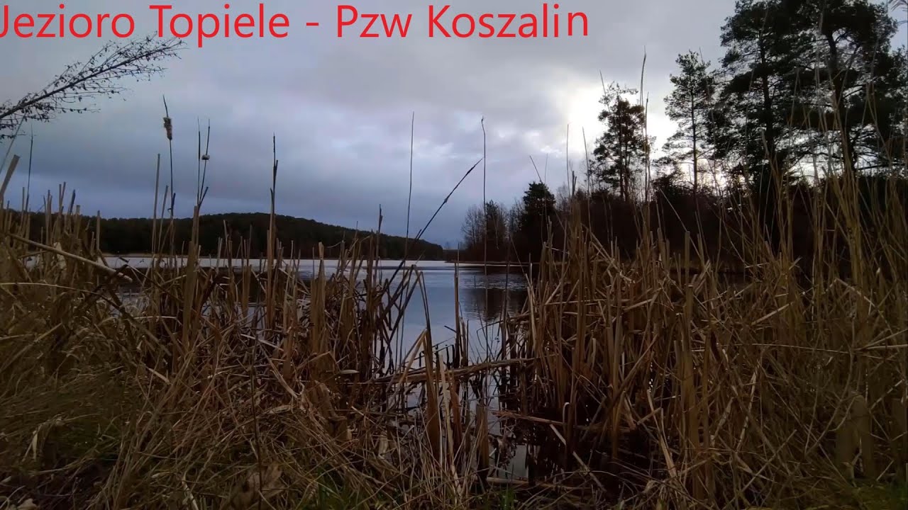 Polowanie na karpia|Jezioro Topiele|Kontrola- Pzw Koszalin|