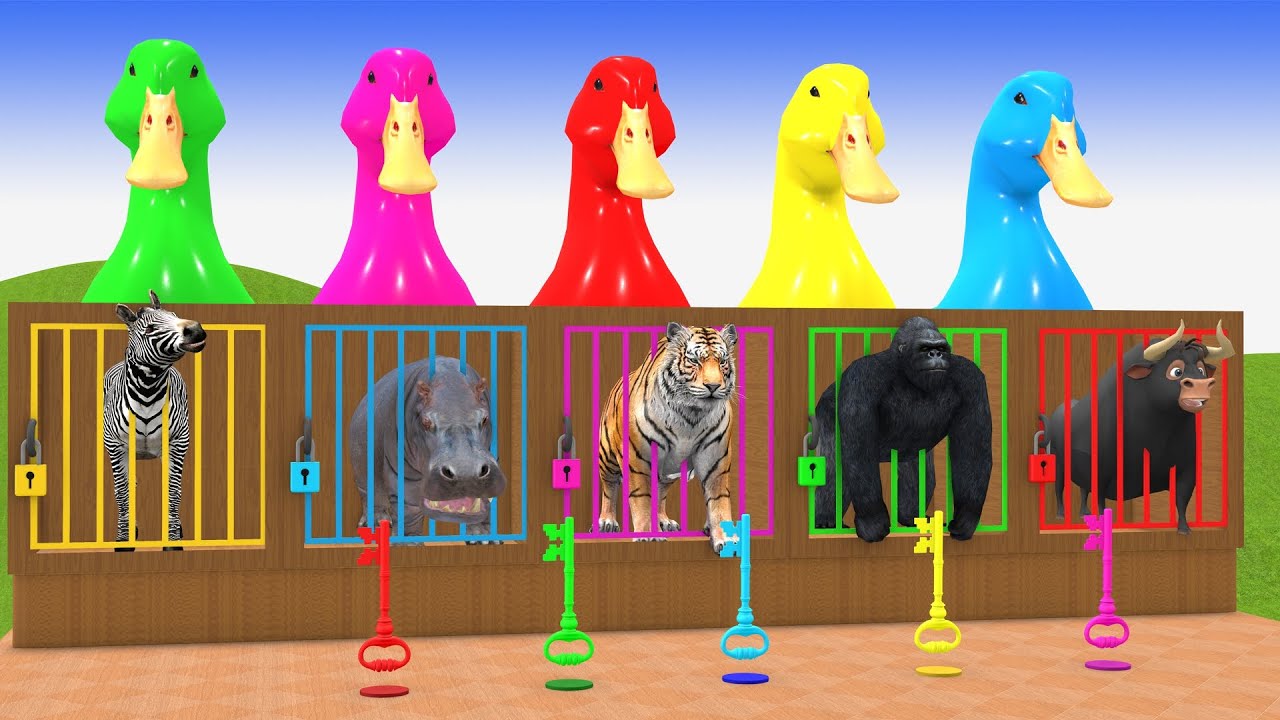 Funny 3D Game Showing Animals Sliding Down a Giant Track
