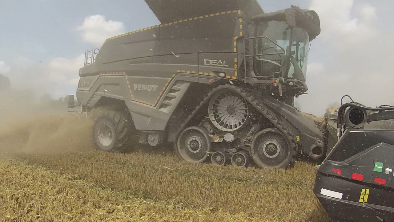 Weizen Ernte 2021 mit Fendt Ideal