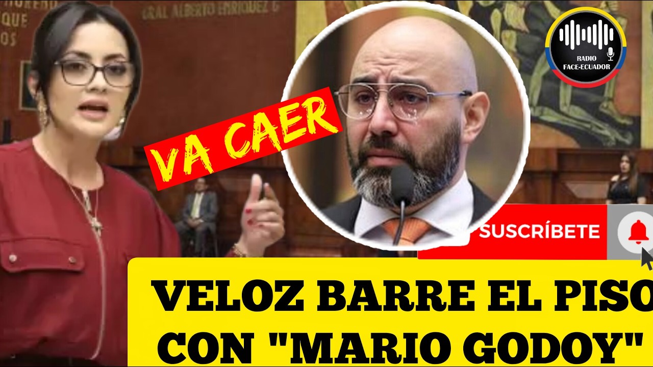 VIVÍANA VELOZ BARRE EL PISO CON EL PRESIDENTE DE LA JUDICATURA MARIO GODOY NOTICIAS ECUADOR RFE TV