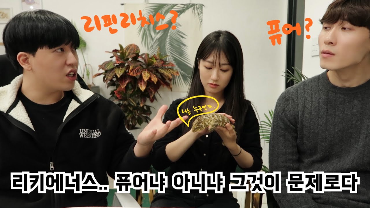리키에너스 입양 하기 전 필수시청!  이 영상 보고 나면 리키에너스좀 안다 할 수 있을걸요?! Leapin' Leachies Leachianus