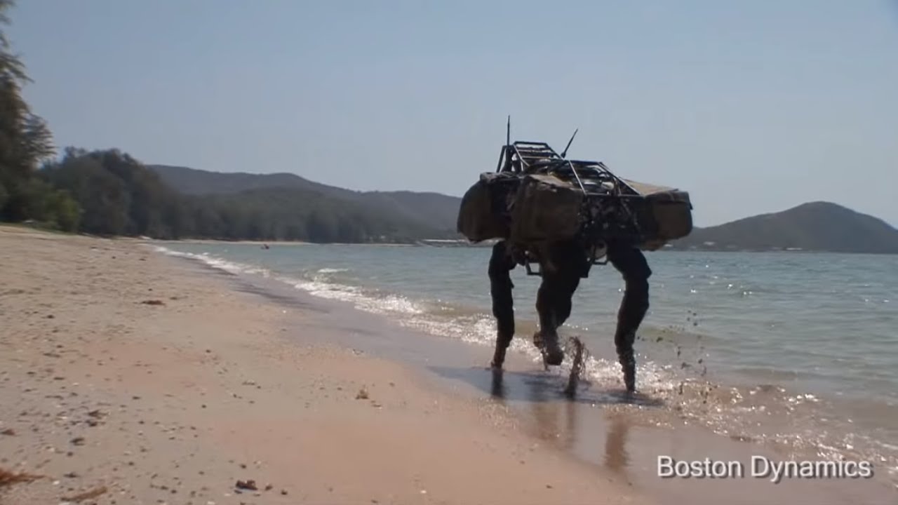 BigDog Beach'n