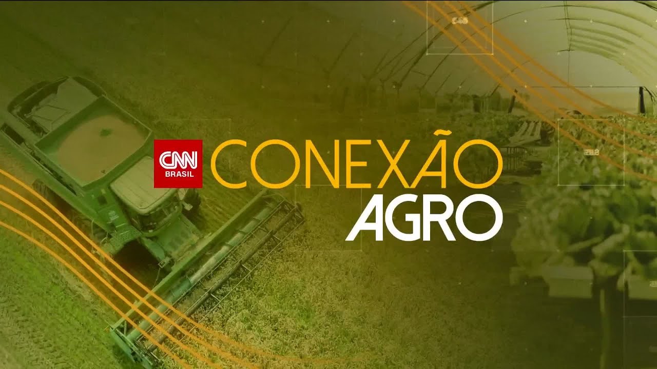 Conexão Agro: Caminhões enfrentam fila de 25 km para descarregar soja no Pará | CNN PRIME TIME