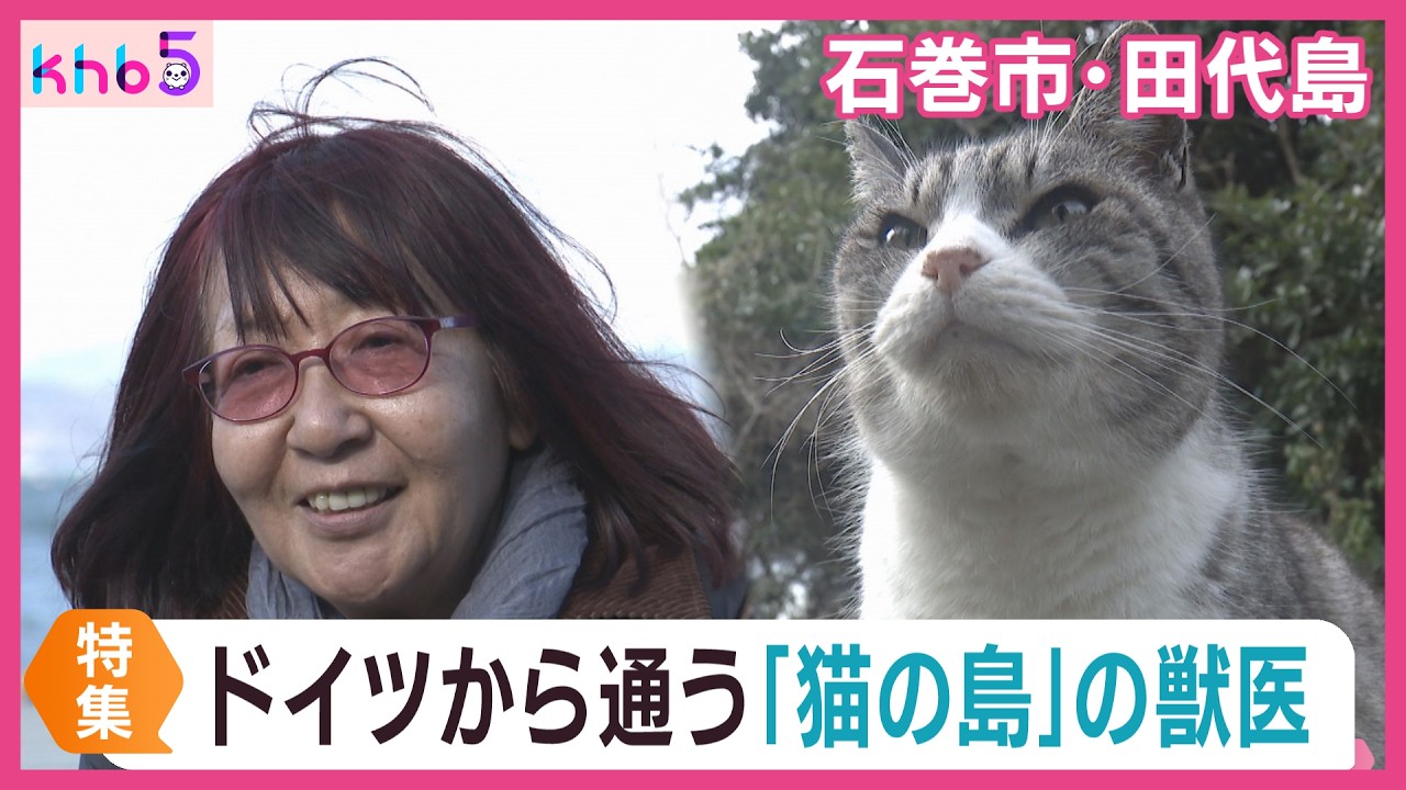 ドイツから猫の島に通う獣医師　猫の診察のみならず島民との触れ合いも　宮城・田代島