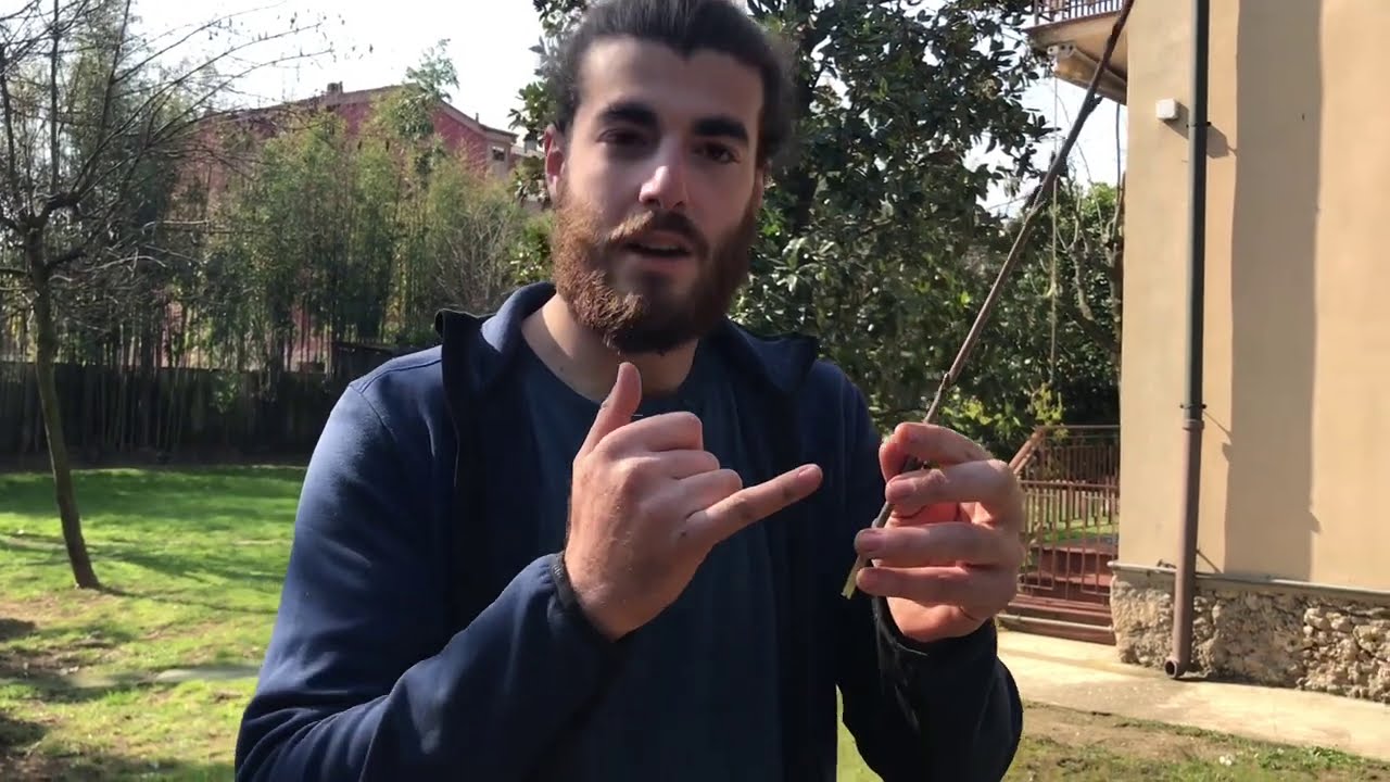 Cos’è un INNESTO? A cosa SERVE? (Esempio con l’innesto a spacco su ciliegio)