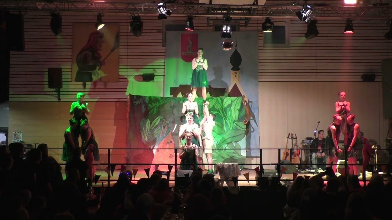 Showtanzgruppe Narrenfreunde Seebronn e.V. 2025