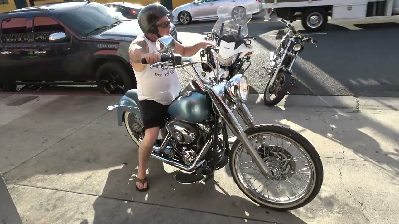 Hunting Harleys, blue softtail