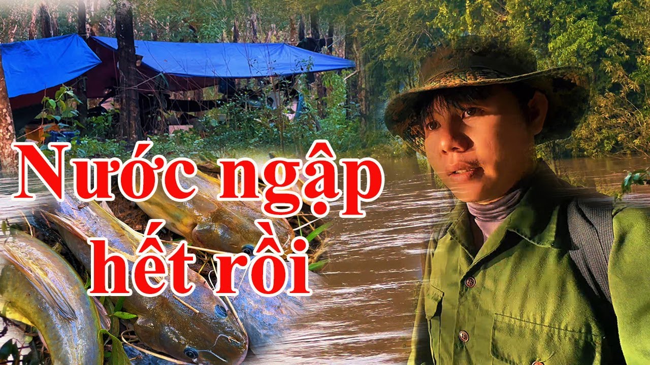 Theo dòng nước đỏ từ vùng biên giới tìm cá lăn mùa lũ
