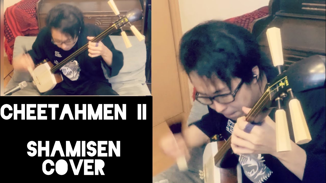 チーターマン (津軽三味線)　Cheetahmen Ⅱ shamisen cover🤓