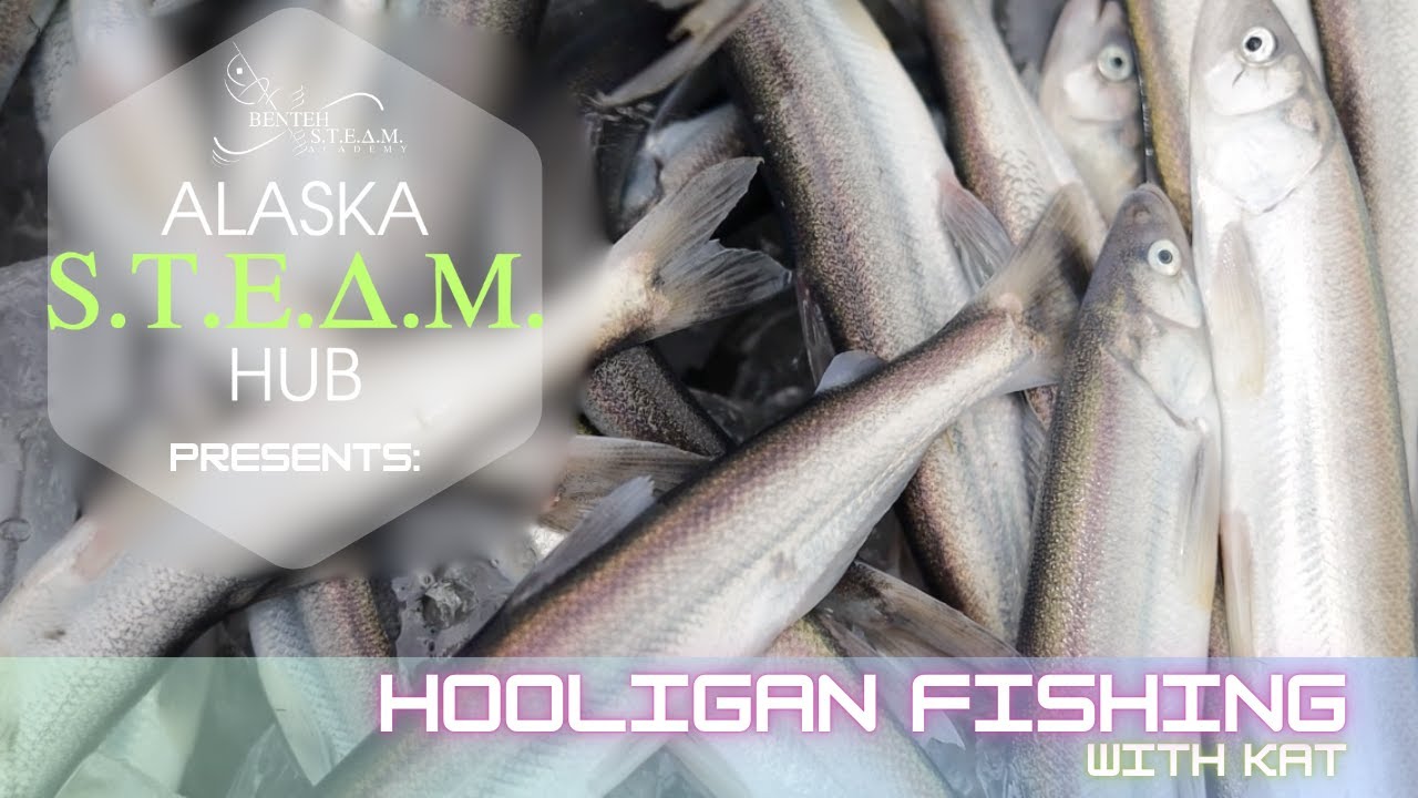 Fishing for Hooligan | ASH Team in the Field at Turnagain Arm, Alaska