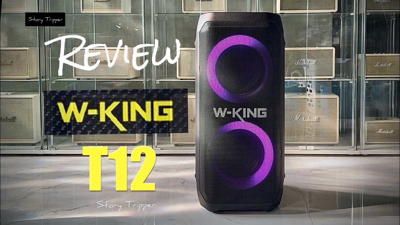 Review of the W-King T12 Party Speaker (270w.)