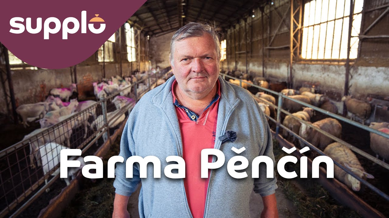 Jak vypadá první česká bio farma 🐐