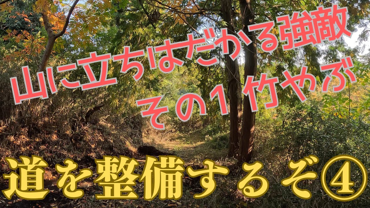 山道を整備するぞ④