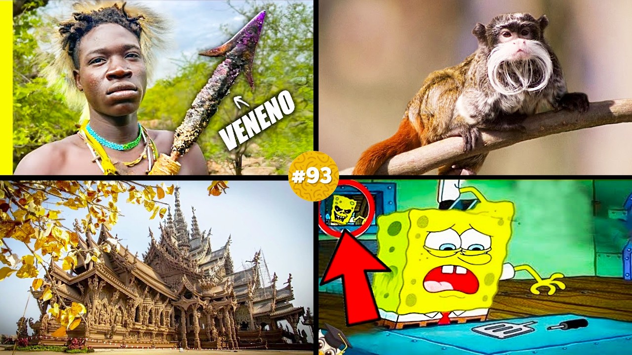 🧠 &iexcl;20 DATOS CURIOSOS que NO sab&iacute;as hace 5 minutos! 😱#93