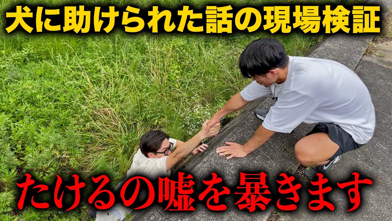 たけるの嘘を暴きます