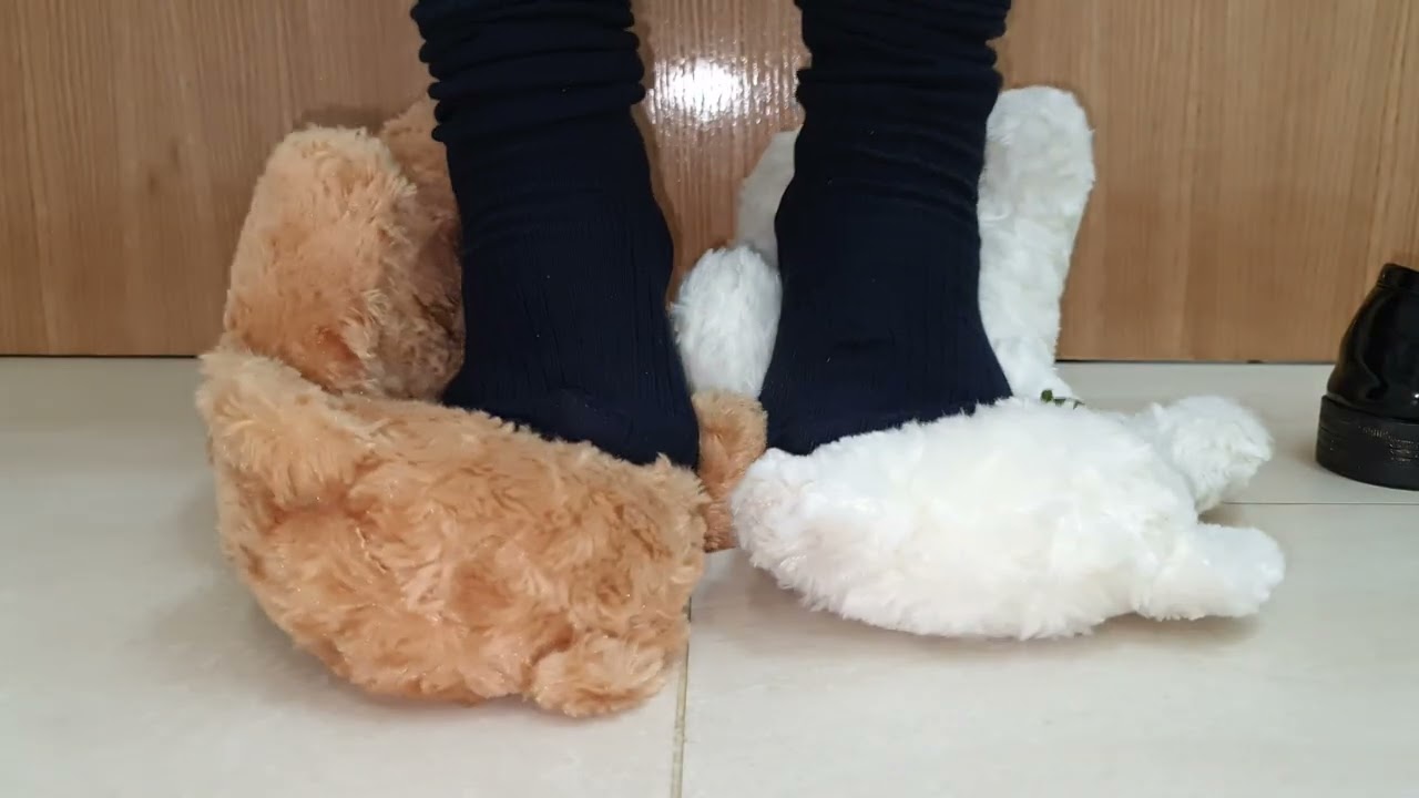 Week worn dirty socks trample teddy bears