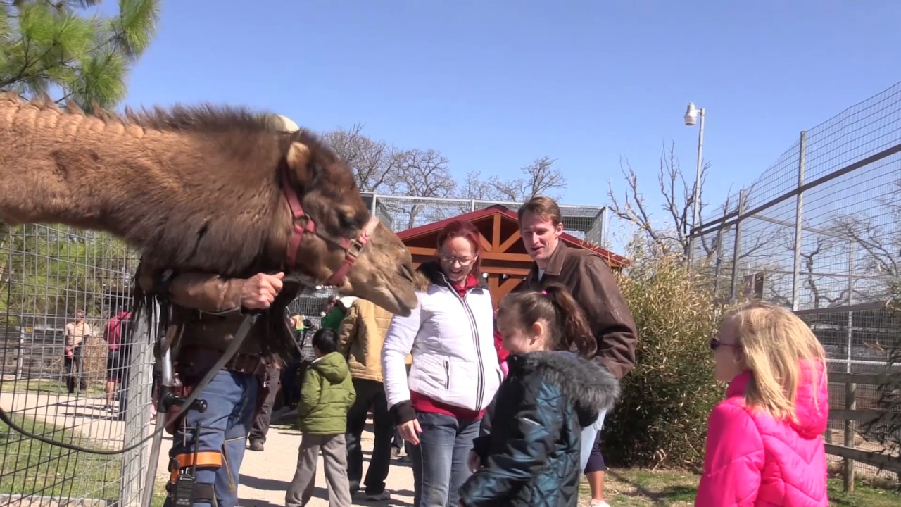 Spring Break Tour At The Greater Wynnewood Exotic AnimalPark