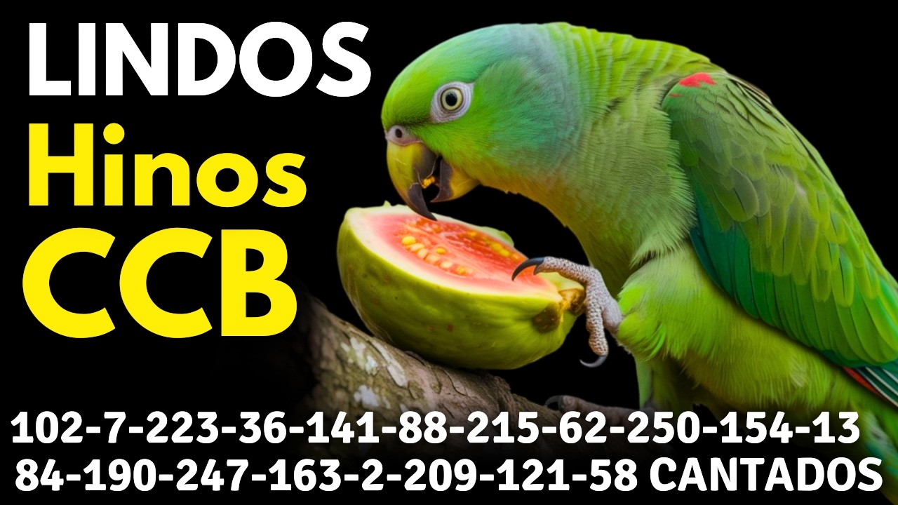 HINOS CCB 102-7-223-36-141-88-215-62-250-154-13-84-190-247-163-2-209-121-58-176 CANTADOS