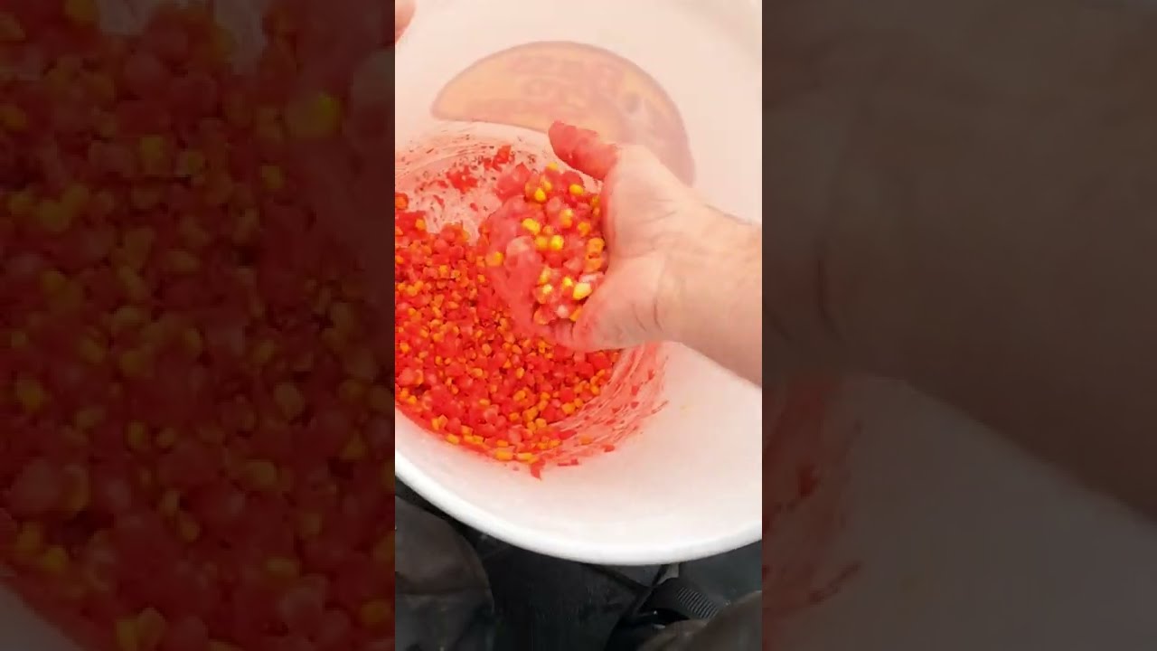 Рецепт наживки для карпа для новичков &mdash; суперпростая рыбалка на карпа #шорты