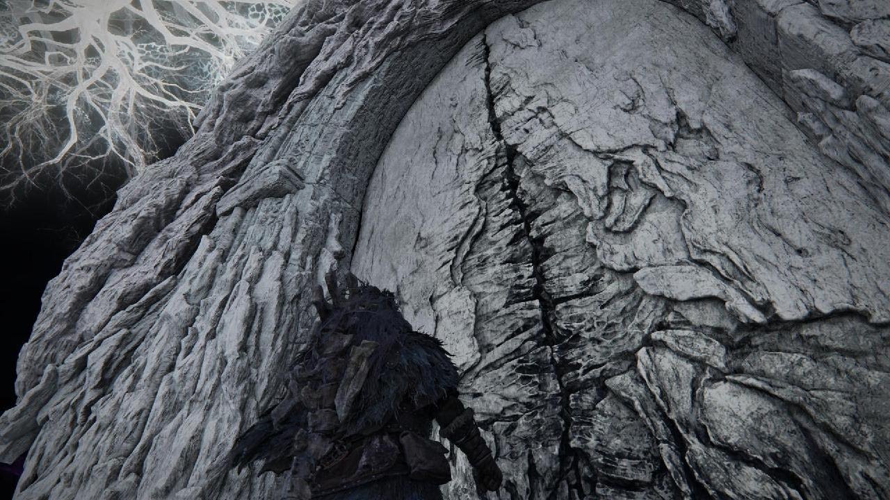 ELDEN RING NIGHTREIGN Deep of Night Duchess w/ BOWGS and random VS Adel