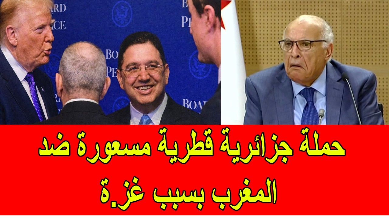 حملة قطرية جزائرية مسعورة على المغرب بسبب غز.ة