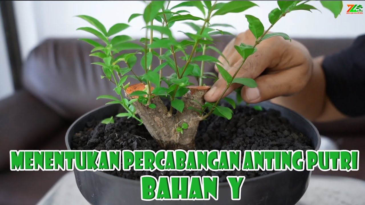 MEMBENTUK BAHAN 