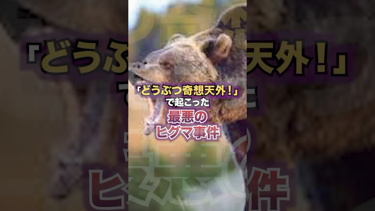 「どうぶつ奇想天外！」で起こった最悪のヒグマ事件