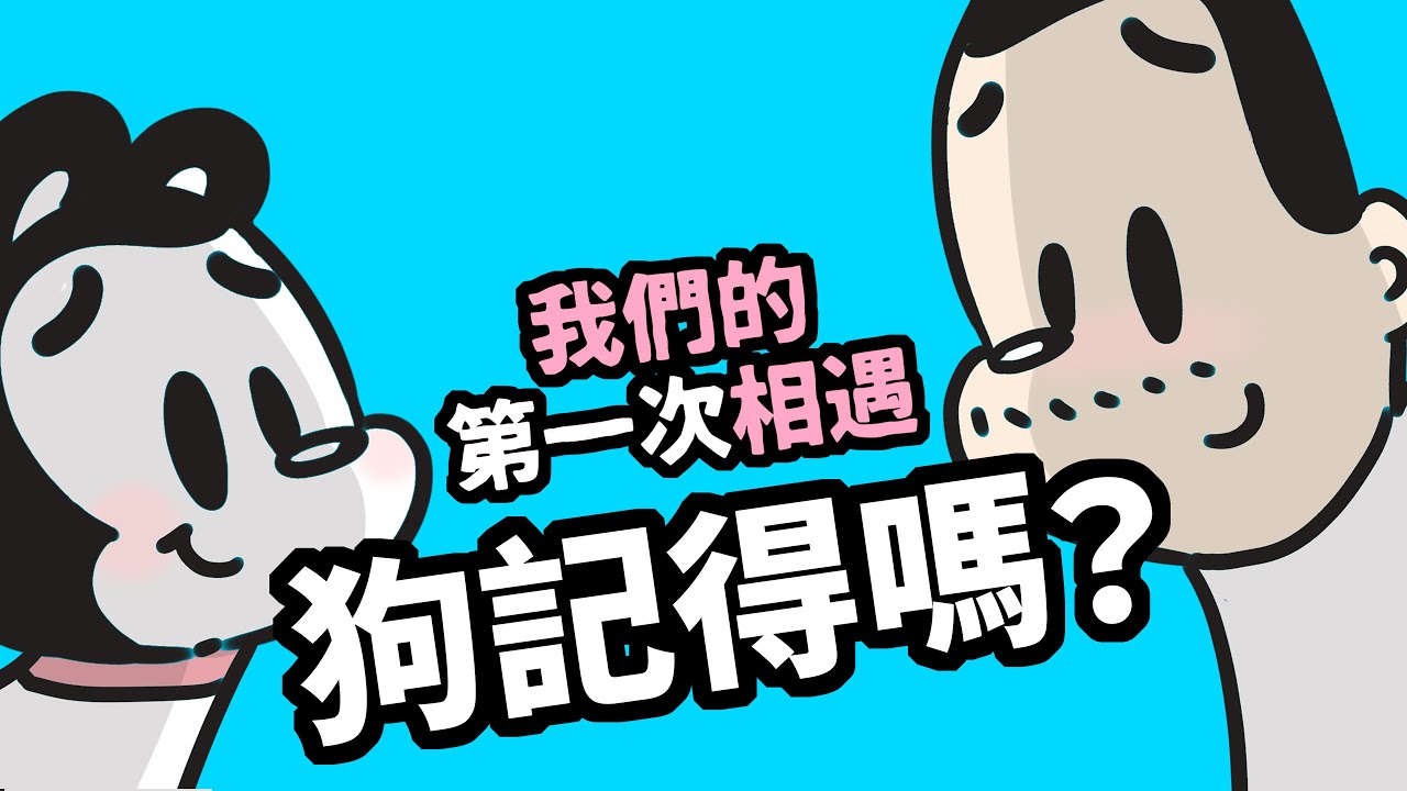 狗與鹿｜狗的記憶力｜我們的第一次相遇，狗狗記得嗎？狗獨自在家，他有多想我呢？9個行為揭開狗狗記憶的秘密
