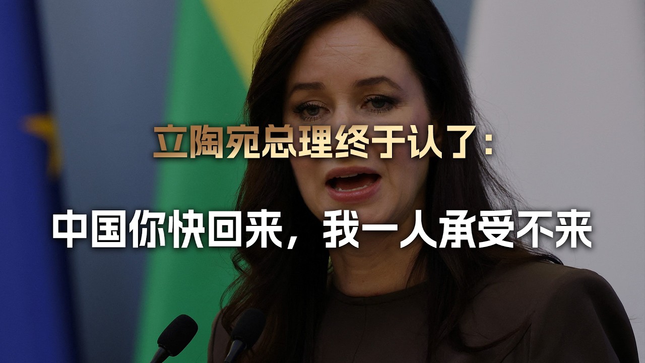 扛不住了，立陶宛总理终于认了：中国你快回来，我一人承受不来