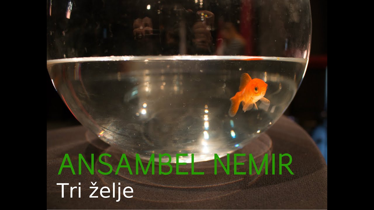 ANSAMBEL NEMIR  -  Tri želje [Uradni videospot]