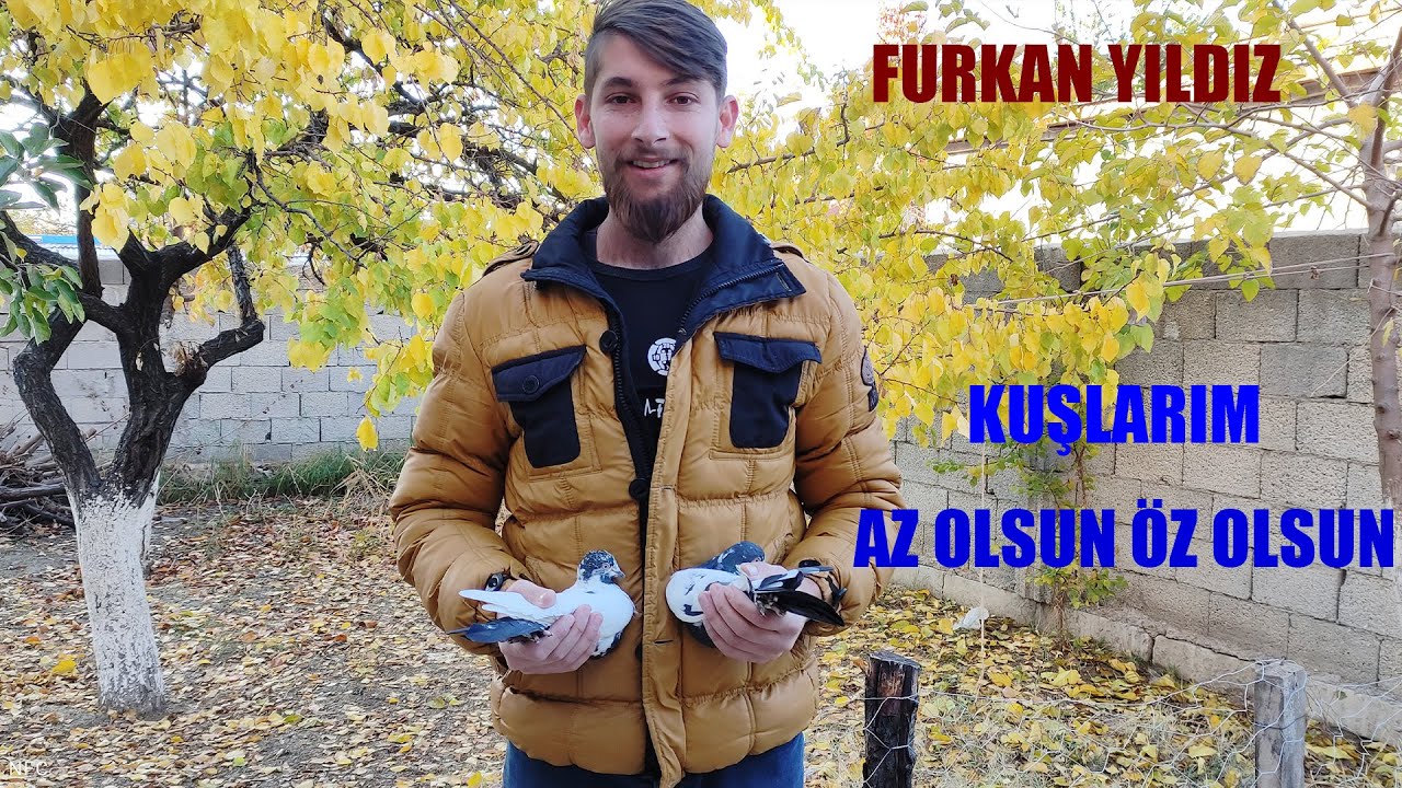 Güvercinler/Furkan Yıldıza Kümes Ziyareti/Van Kuşları