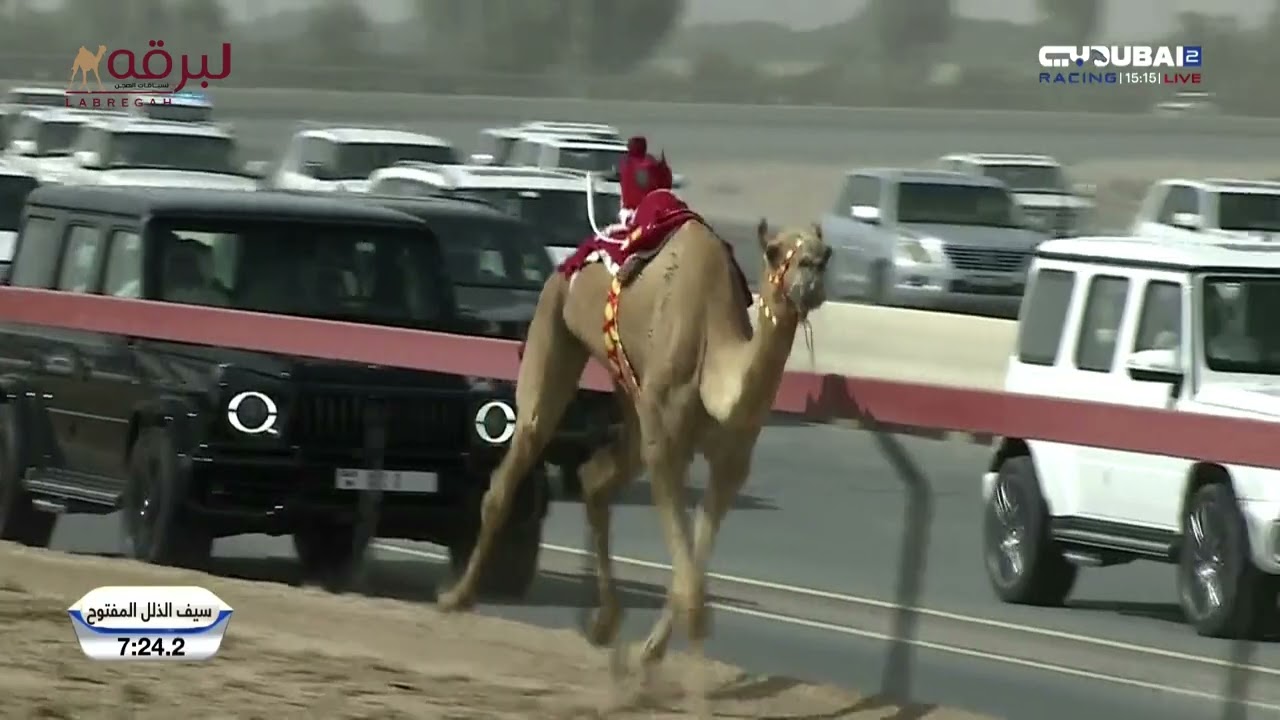 ش6 الوارية لـ محمد علي محمد حماد الشامسي (مهرجان ختامي المرموم 27-04-2025م) سيف الحيل مفتوح 12:22:0