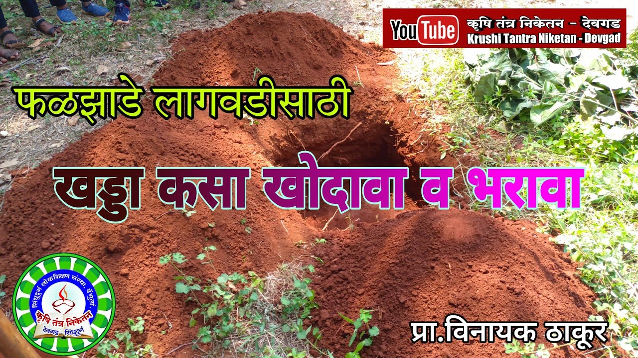 फळबाग लागवड करताना खड्डा किती खोदावा व कसा भरावा