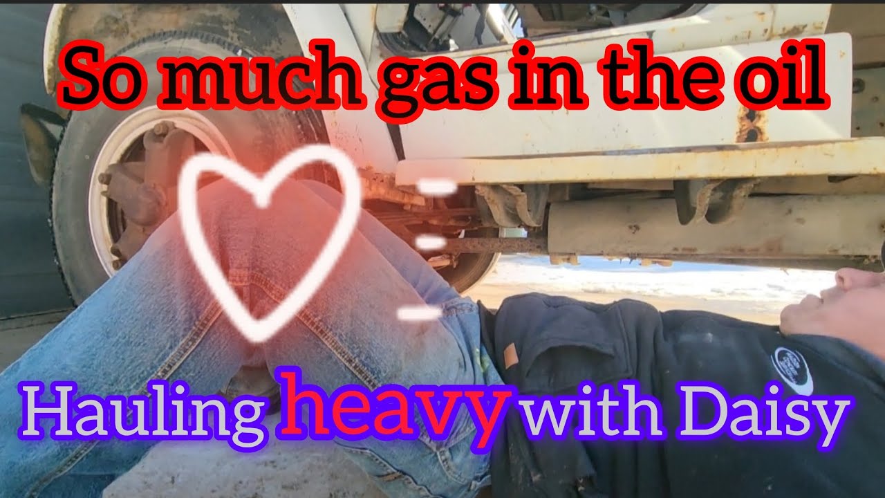 Changing Daisy's GASSY oil. C60 366 gas.