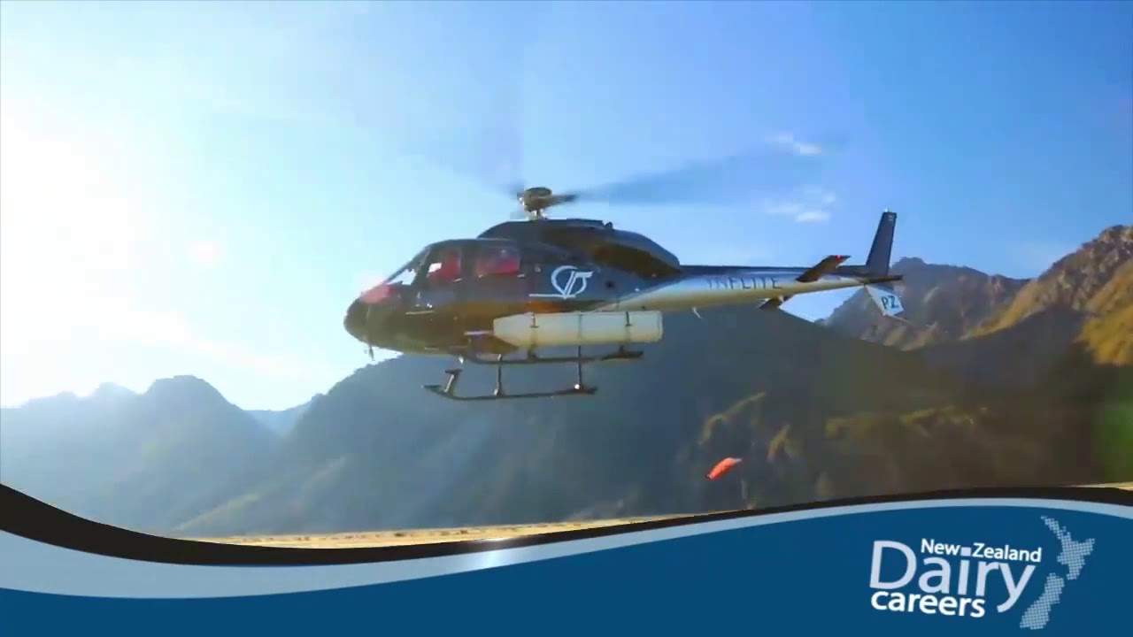 New Zealand Dairy Careers - Live, Earn & Learn in New Zealand