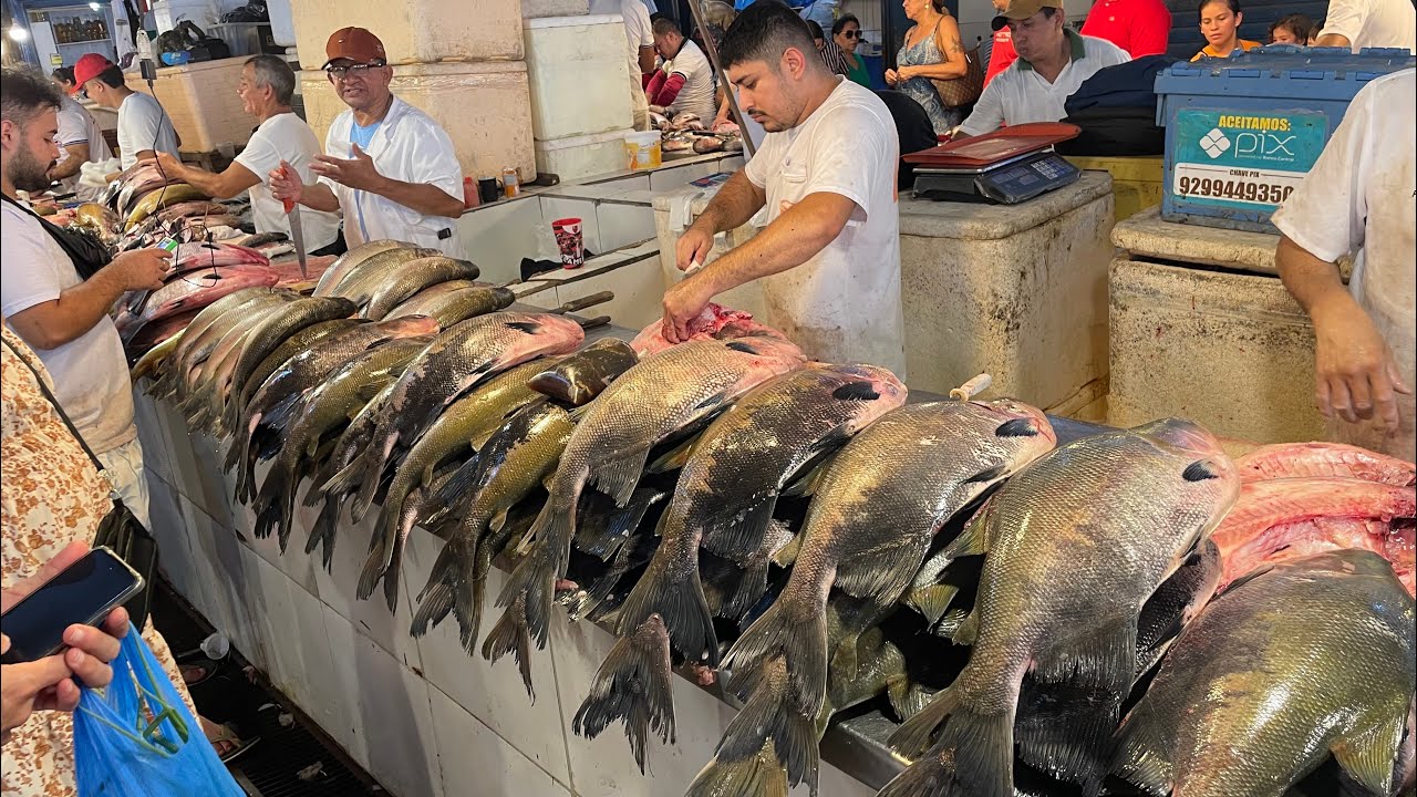NA MAIOR FEIRA DE PEIXES - FEIRA MANAUS MODERNA-MANAUS-AMAZONAS, #amazon