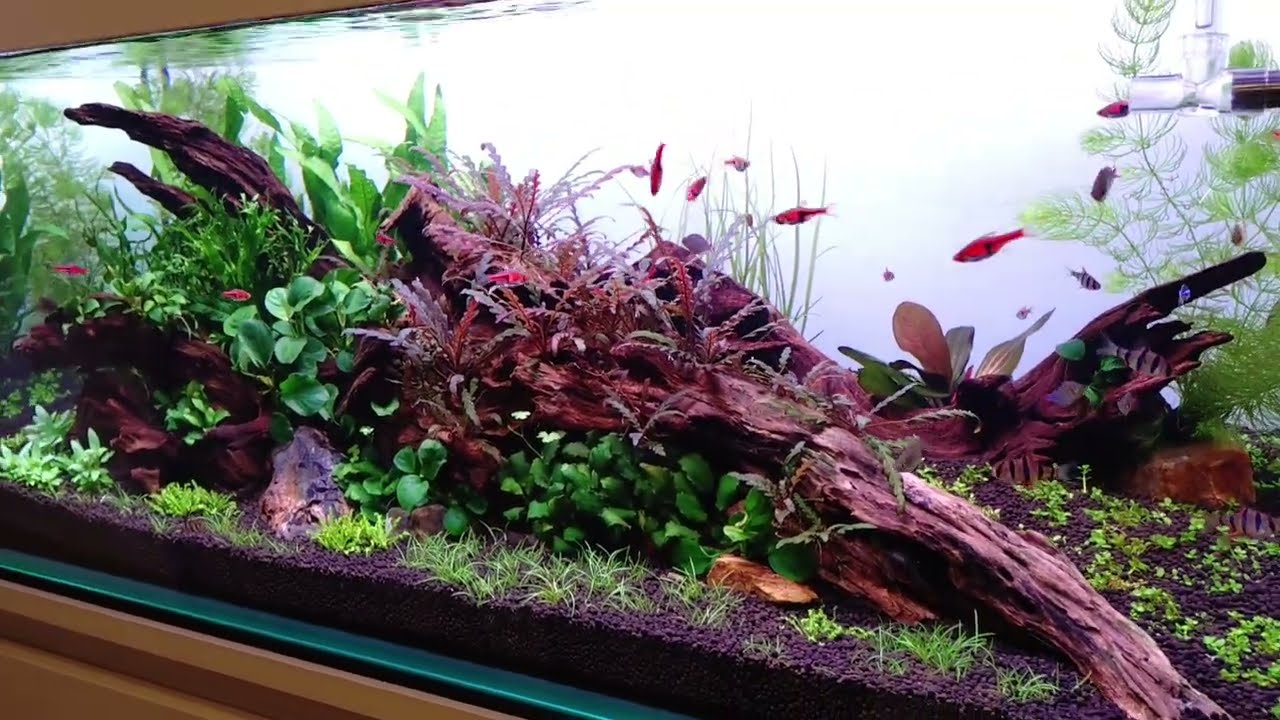 90cm水槽リセット