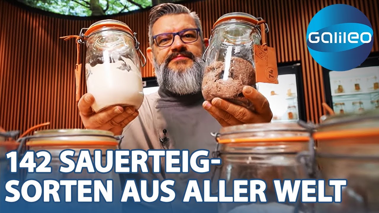 Die gr&ouml;&szlig;te Sauerteig-Sammlung der Welt! Entdeckungen und Rarit&auml;ten aus Karl de Smedts Kollektion